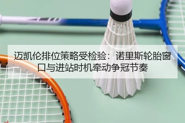 迈凯伦排位策略受检验：诺里斯轮胎窗口与进站时机牵动争冠节奏